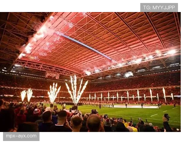 欧洲杯点燃激情之夜：球迷热情引爆球场氛围