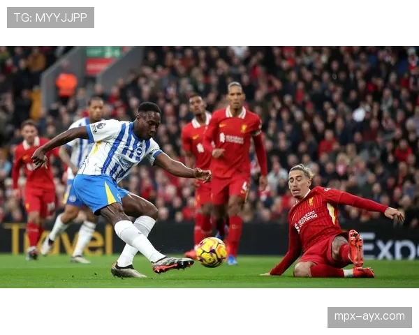 布莱顿主帅战术风格解析：高位逼抢与控球推进成球队标志