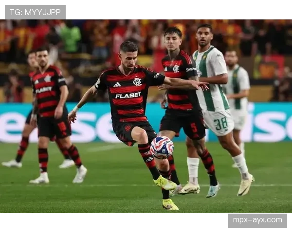 弗拉门戈球队最新消息与近期表现情况