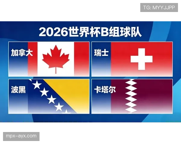 世界杯B组加拿大队出线前景全面分析